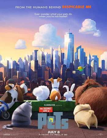 The Secret Life of Pets (2016) Dual Audio Hindi 480p BluRay 300MB ESubs Full Movie Download