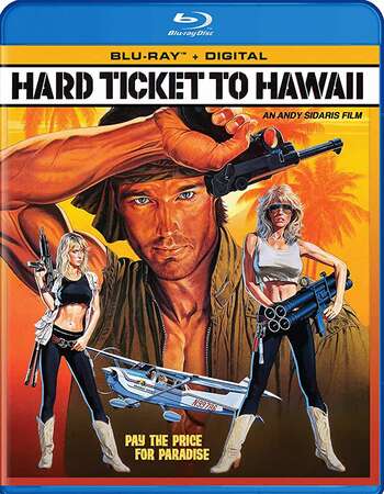 Hard Ticket to Hawaii (1987) Dual Audio Hindi 720p BluRay x264 900MB Full Movie Download