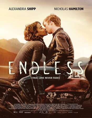 Endless 2020 English 720p WEB-DL 800MB ESubs