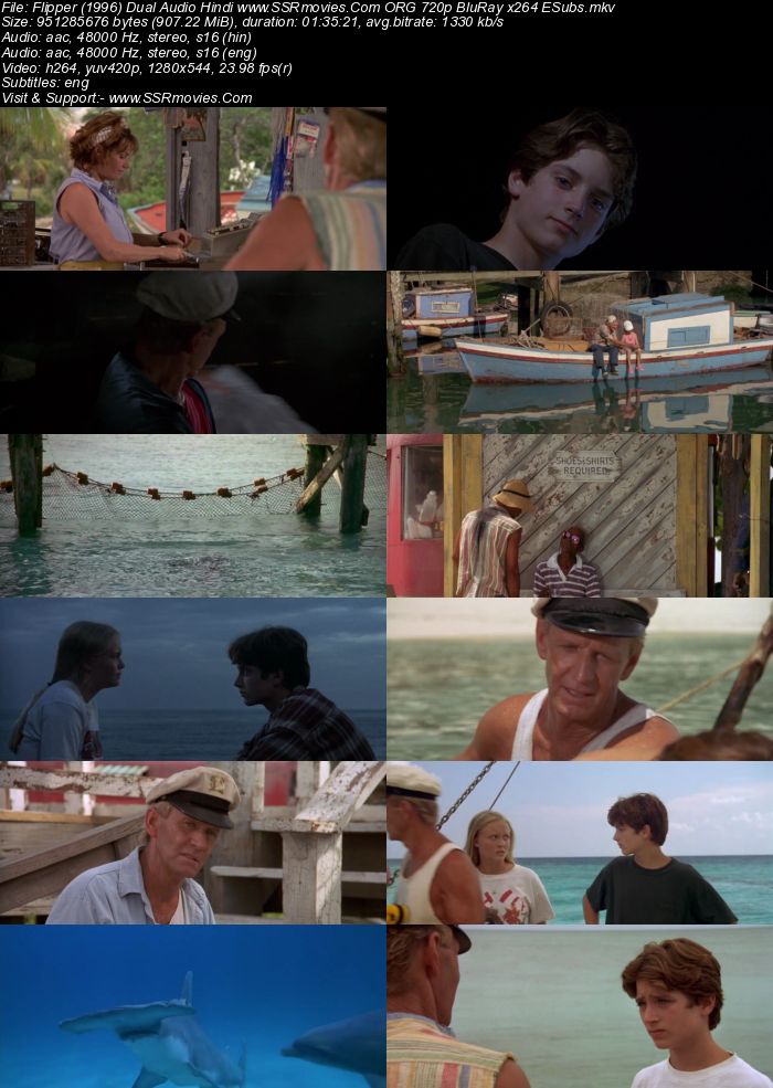 Flipper (1996) Dual Audio Hindi 480p BluRay x264 300MB ESubs Full Movie Download