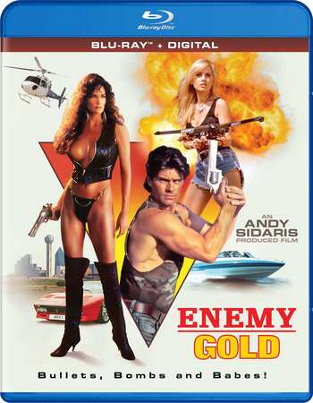 Enemy Gold (1993) Dual Audio Hindi 480p BluRay x264 300MB ESubs Full Movie Download