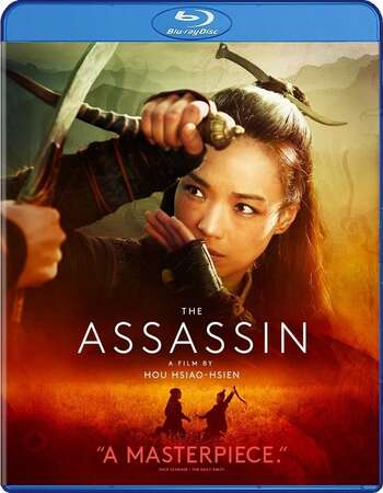 The Assassin (2015) Dual Audio Hindi 480p BluRay x264 350MB ESubs Full Movie Download