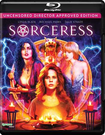 Sorceress (1995) Dual Audio Hindi 480p BluRay x264 300MB ESubs Full Movie Download