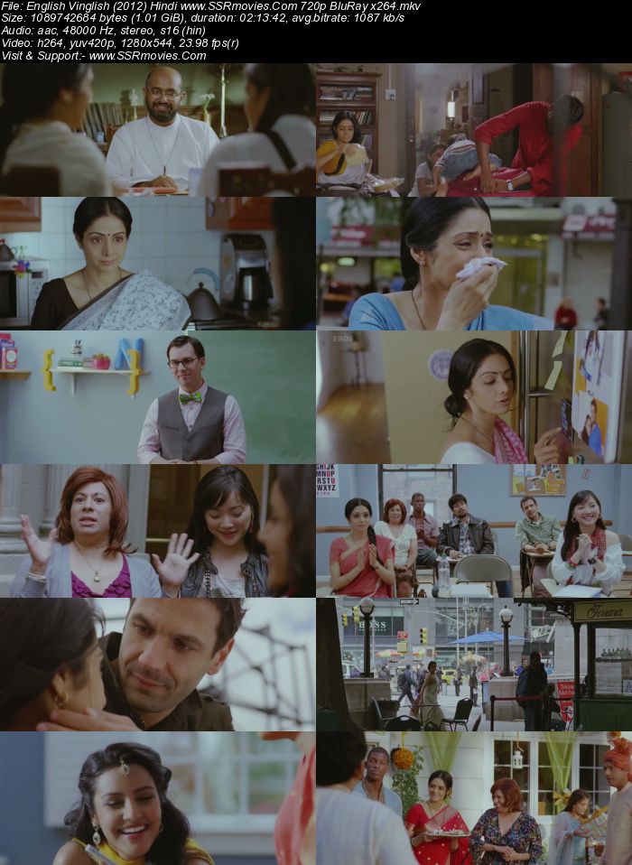 English Vinglish (2012) Hindi 480p BluRay x264 400MB Full Movie Download