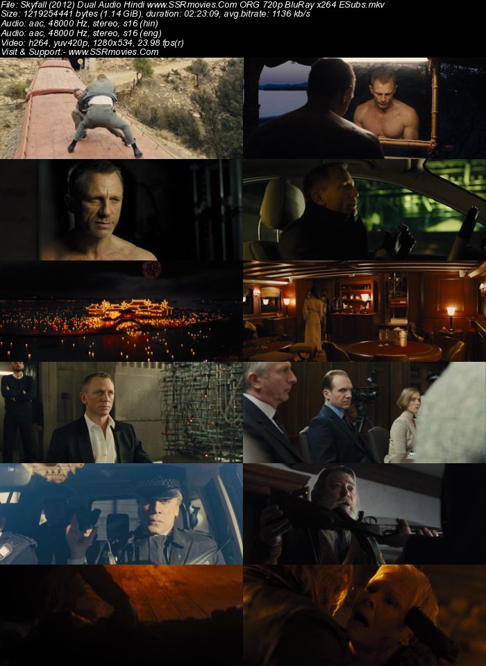 Skyfall (2012) Dual Audio Hindi 720p BluRay x264 1.1GB ESubs Movie Download