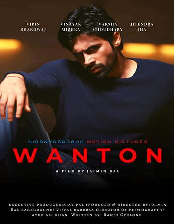 Wanton (2019) Hindi 480p WEB-DL x264 250MB Full Movie Download