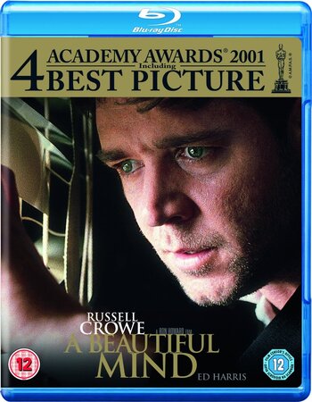 A Beautiful Mind (2001) Dual Audio Hindi 720p BluRay x264 1.2GB Full Movie Download