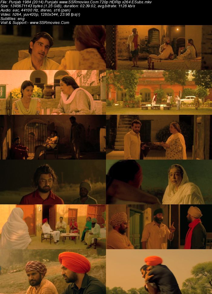Punjab 1984 (2014) Punjabi 480p WEB-DL x264 450MB ESubs Full Movie Download