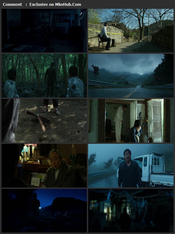 The Wailing 2016 Dual Audio [Hindi-English] 720p WEB-DL 1.3GB Download