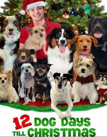 12 Dog Days Till Christmas (2014) Dual Audio Hindi 720p HDTV x264 900MB Full Movie Download