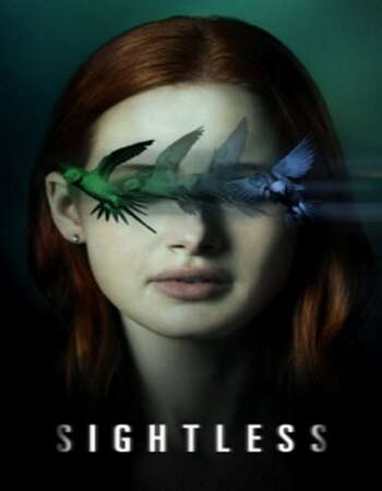 Sightless 2020 English 720p WEB-DL 800MB ESubs