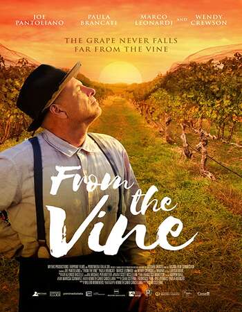 From the Vine 2020 English 720p WEB-DL 850MB ESubs