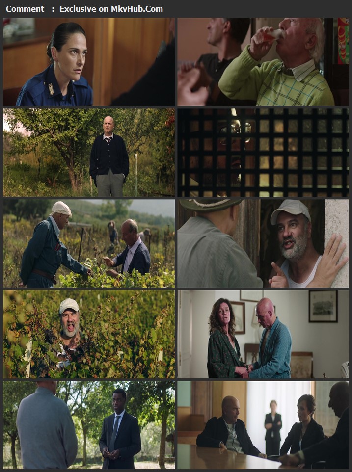 From the Vine 2020 English 720p WEB-DL 850MB Download