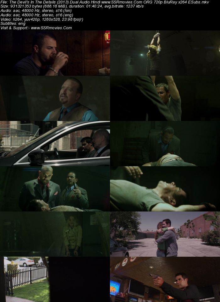 The Devil's in the Details (2013) Dual Audio Hindi 720p BluRay x264 850MB Full Movie Download