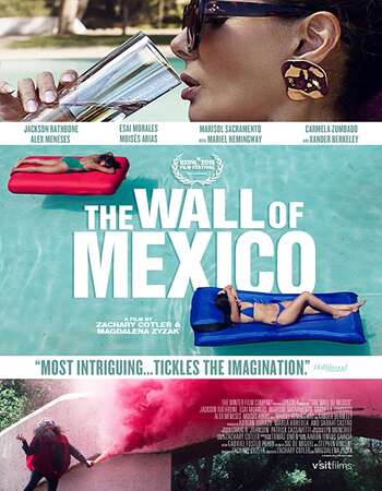 The Wall of Mexico 2020 English 720p WEB-DL 900MB ESubs