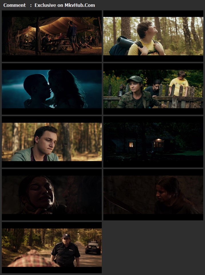 Nobody Sleeps in the Woods Tonight 2020 Polish 720p WEB-DL 900MB Download