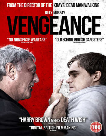 Vengeance 2020 English 720p WEB-DL 650MB Download