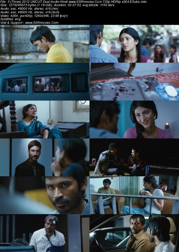 3 (Three) 2012 Dual Audio Hindi 480p HDRip x264 500MB ESubs Full Movie Download