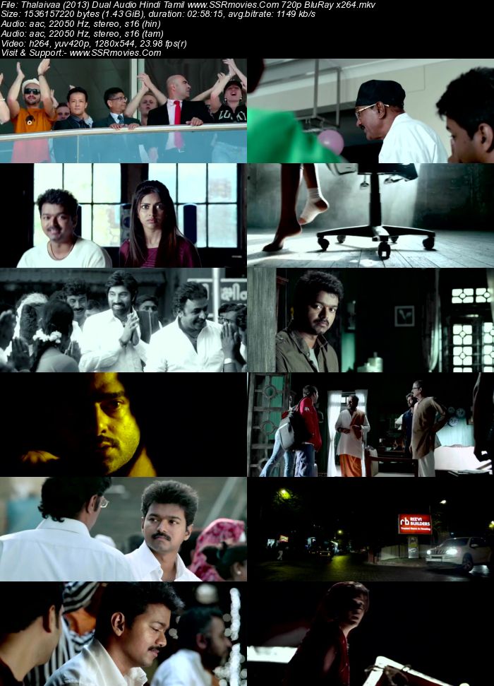 Thalaivaa (2013) Dual Audio Hindi 480p BluRay x264 600MB Full Movie Download