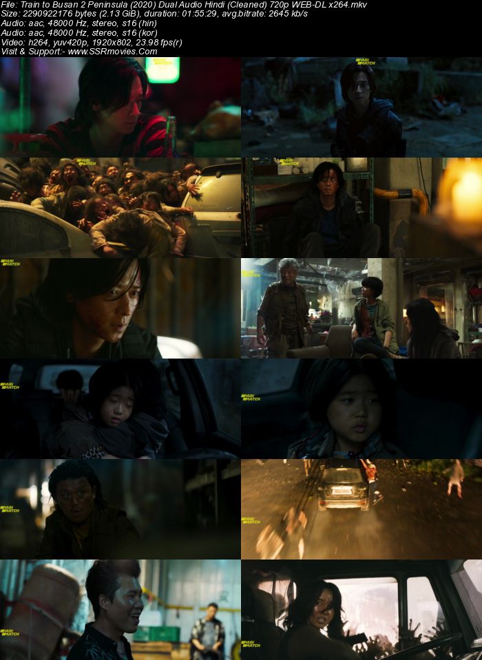 Train to Busan Presents: Peninsula (2020) Dual Audio Hindi 720p WEB-DL x264 1GB Full Movie Download