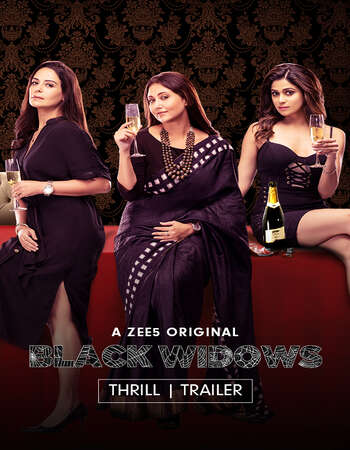 Black Widows 2020 Hindi S01 Complete 720p HDRip x264 ESubs Download