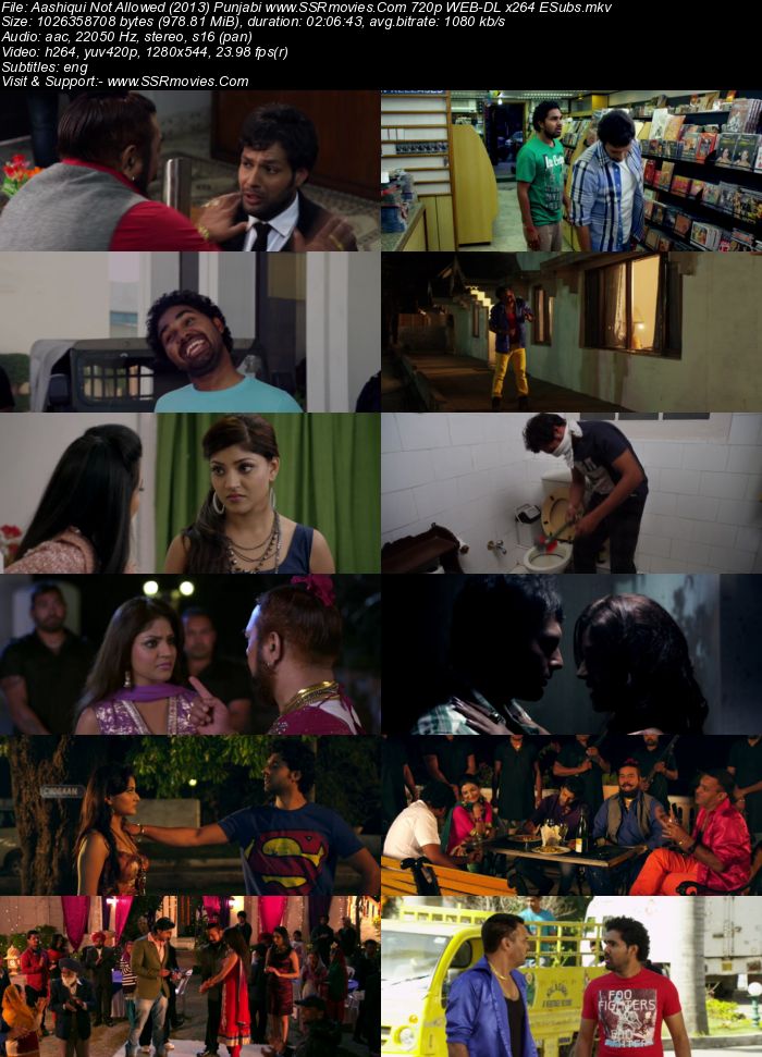 Aashiqui Not Allowed (2013) Punjabi 480p WEB-DL x264 400MB ESubs Full Movie Download