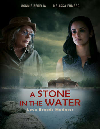 A Stone in the Water 2019 English 720p WEB-DL 850MB ESubs