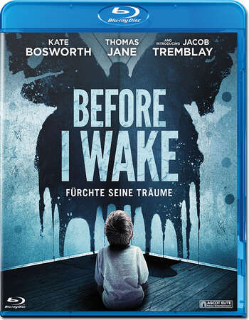 Before I Wake (2016) Dual Audio Hindi 480p BluRay x264 350MB ESubs Full Movie Download