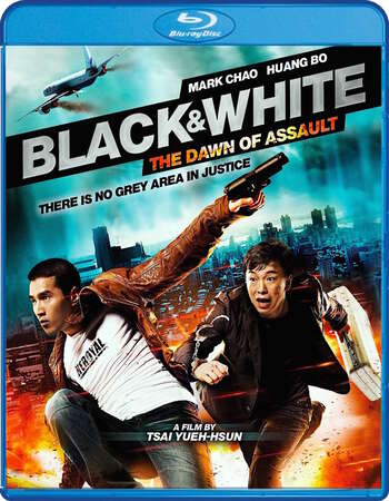 Black & White Dawn of Assault (2012) Dual Audio Hindi 480p BluRay 500MB Full Movie Download