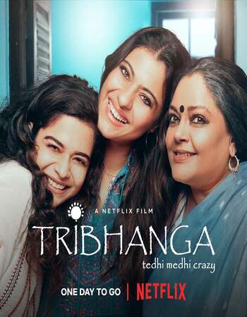 Tribhanga (2021) Hindi 480p WEB-DL x264 300MB Full Movie Download