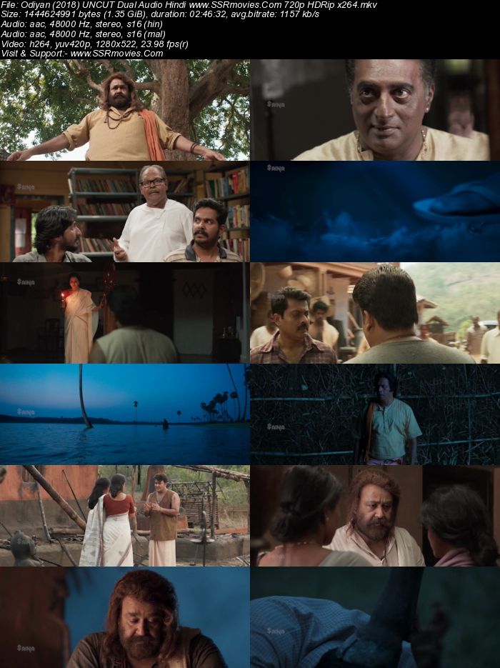 Odiyan (2018) UNCUT Dual Audio Hindi 480p HDRip x264 550MB Full Movie Download