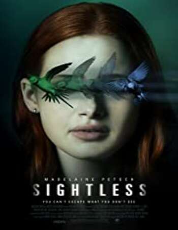 Sightless 2020 Dual Audio [Hindi-English] 720p BluRay 850MB ESubs