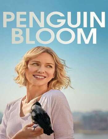 Penguin Bloom 2020 English 1080p WEB-DL 1.6GB Download