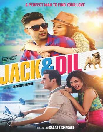 Jack & Dil (2018) Hindi 480p WEB-DL x264 300MB Full Movie Download