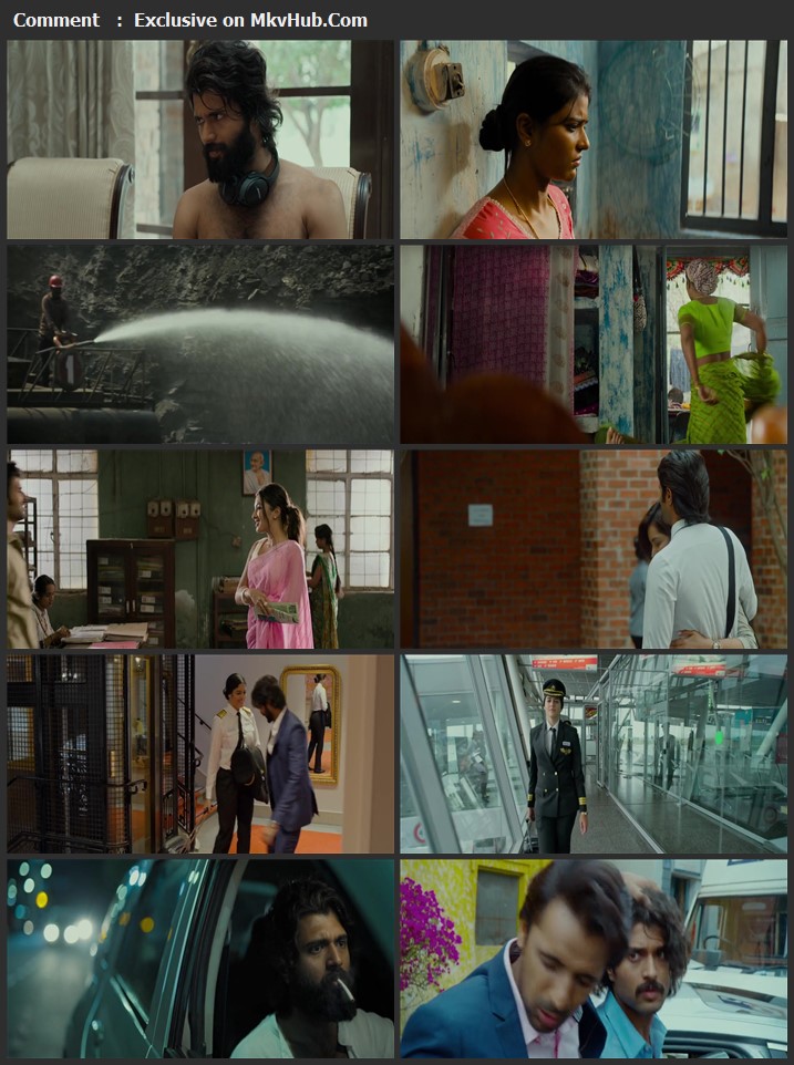 World Famous Lover 2020 Dual Audio Hindi 720p HDRip x264 1.2GB Download