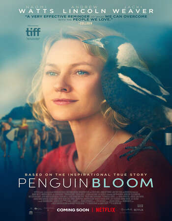 Penguin Bloom (2020) English 720p WEB-DL x264 800MB Full Movie Download