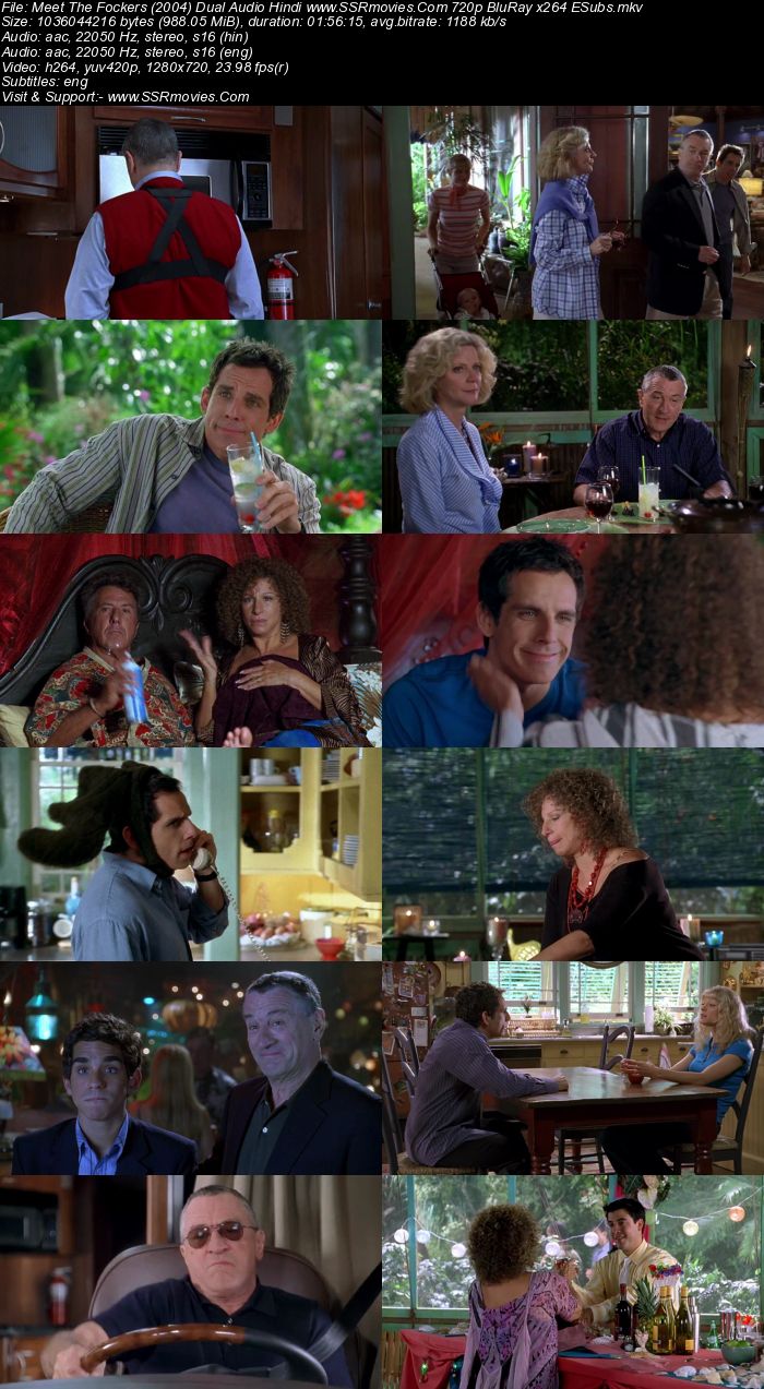 Meet the Fockers (2004) Dual Audio Hindi 720p BluRay x264 950MB Full Movie Download