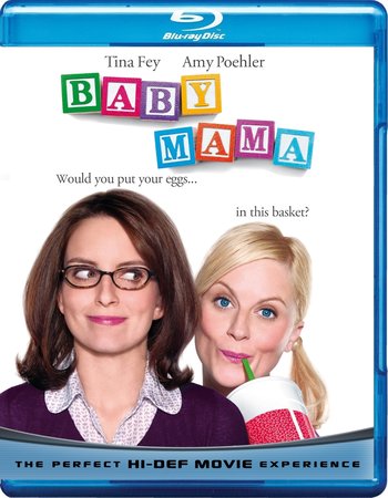 Baby Mama (2008) Dual Audio Hindi 480p BluRay x264 350MB ESubs Full Movie Download