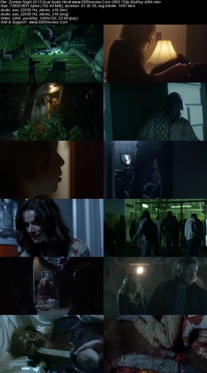 Zombie Night (2013) Dual Audio Hindi 720p BluRay 700MB Full Movie Download