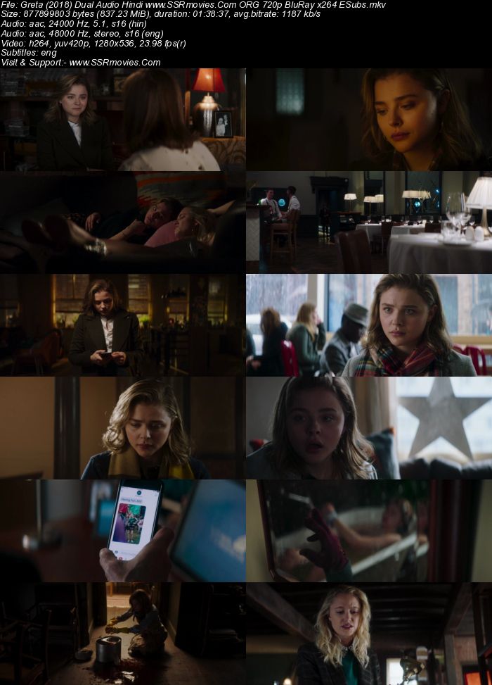 Greta (2018) Dual Audio Hindi 480p BluRay x264 350MB ESubs Full Movie Download