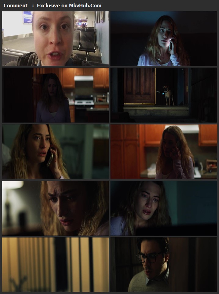 Shook 2021 English 720p WEB-DL 800MB Download