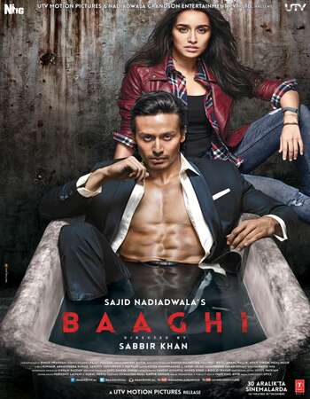 Baaghi (2016) Hindi 720p BluRay x264 1.1GB Full Movie Download