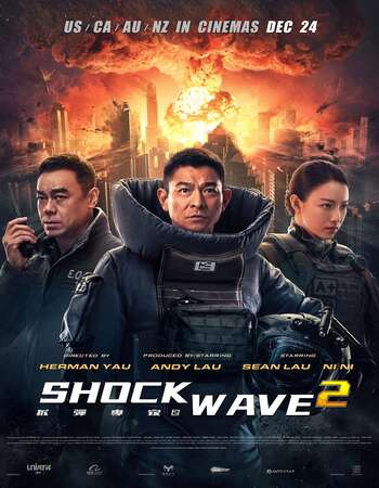 Shock Wave 2 (2020) Dual Audio Hindi (HQ Fan Dub) 720p HC HDRip 1.1GB Full Movie Download