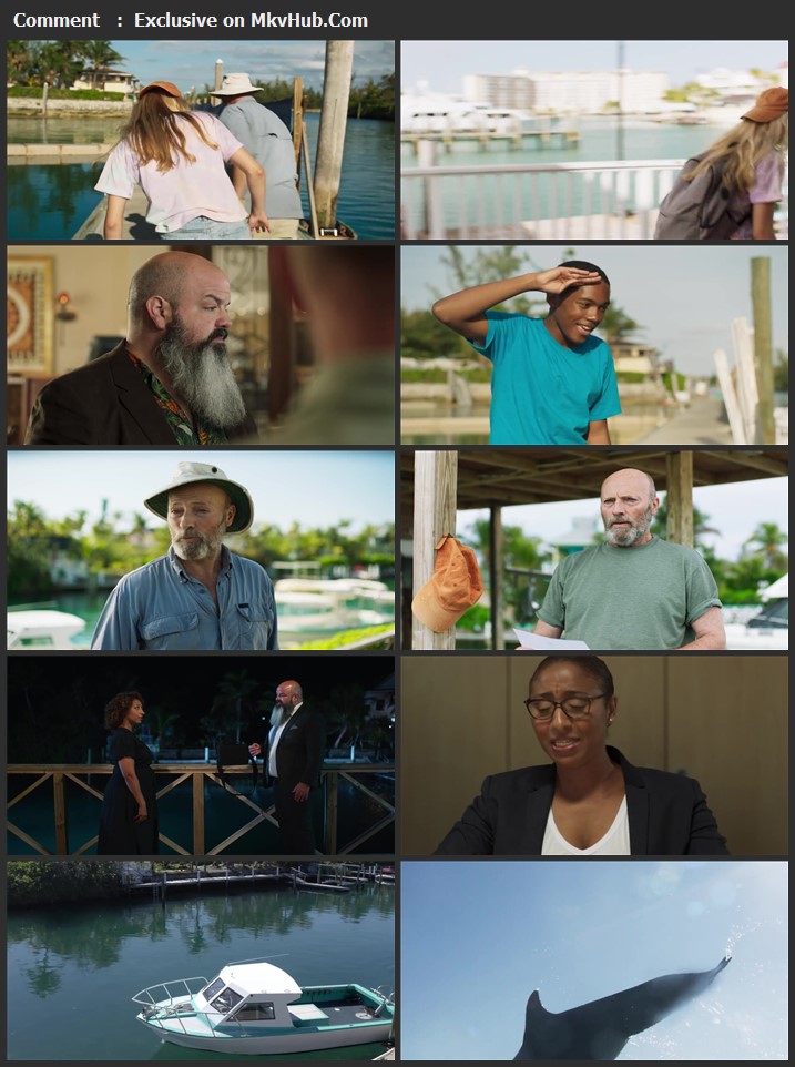 Dolphin Island 2021 English 720p WEB-DL 800MB Download