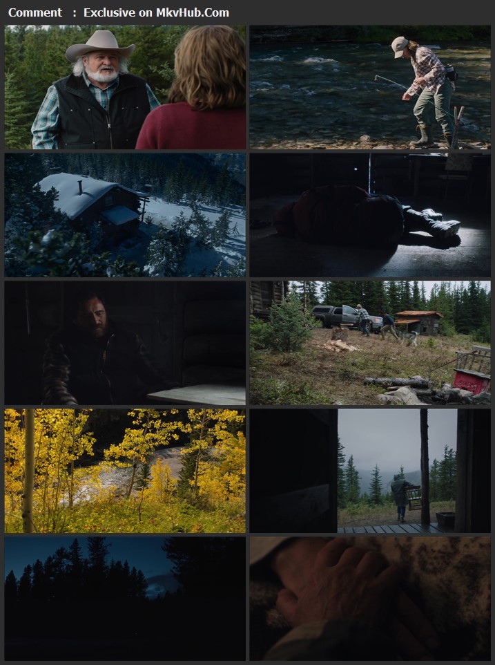 Land 2021 English 720p WEB-DL 800MB Download