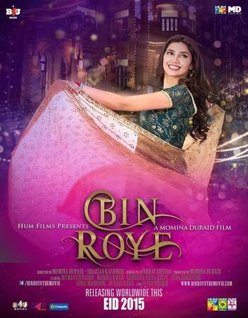 Bin Roye (2015) Urdu 480p DVDRip x264 450MB Full Movie Download