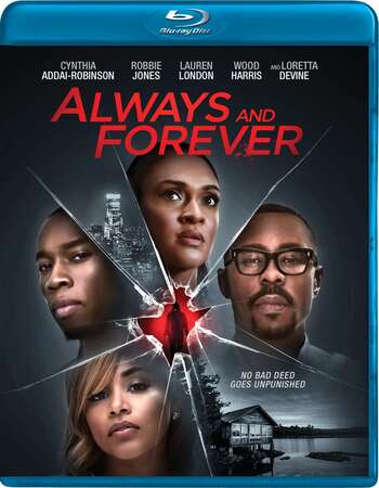 Always and Forever (2020) Dual Audio Hindi 480p BluRay 350MB ESubs Full Movie Download