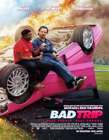 Bad Trip (2020) Dual Audio Hindi 480p WEB-DL x264 300MB ESubs Full Movie Download