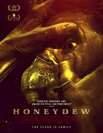 Honeydew 2021 English 720p WEB-DL 950MB Download