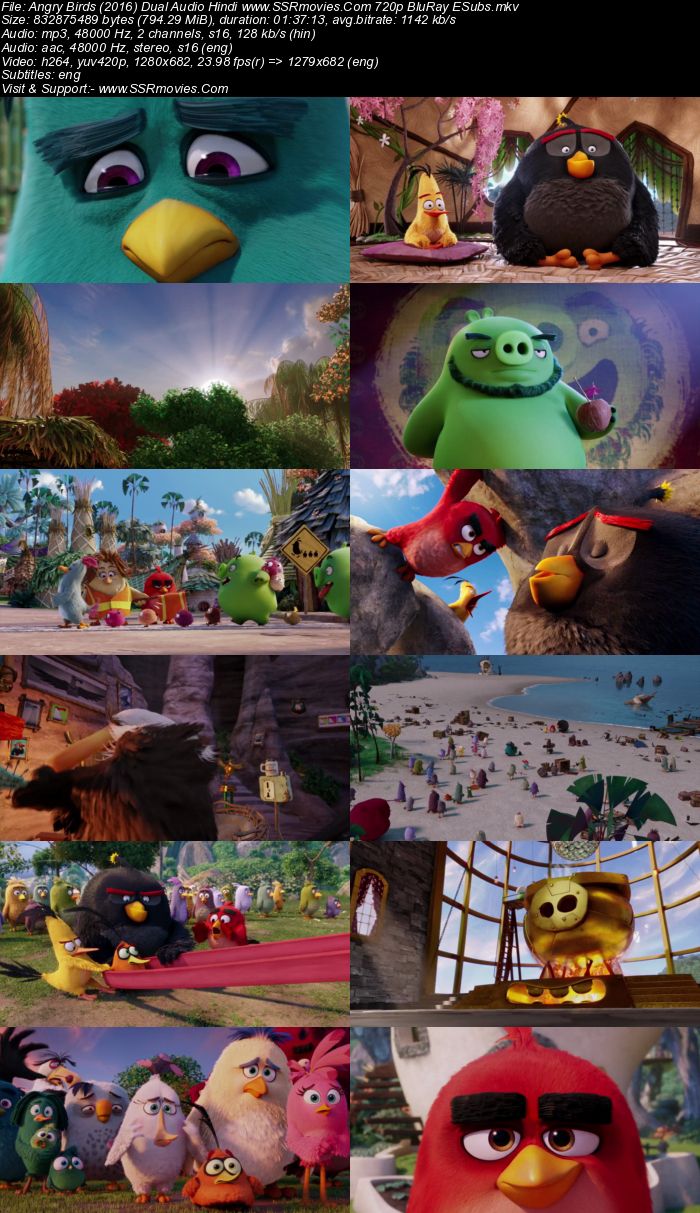 The Angry Birds Movie (2016) Dual Audio Hindi 480p BluRay 350MB ESubs Full Movie Download